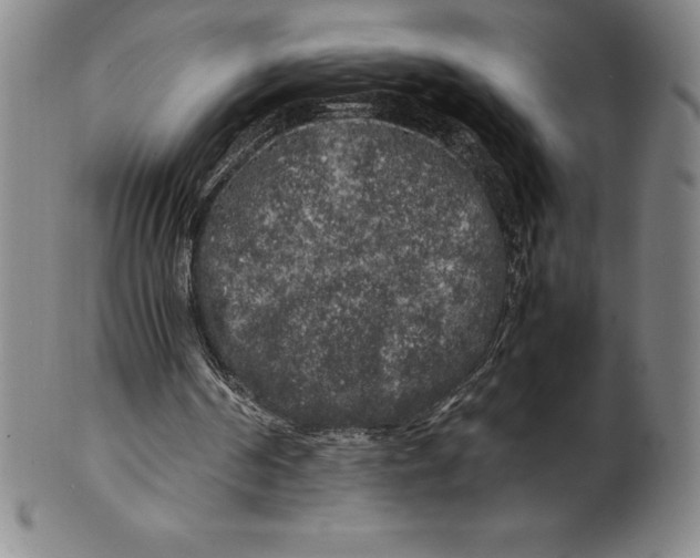 X0000100490194200806271244