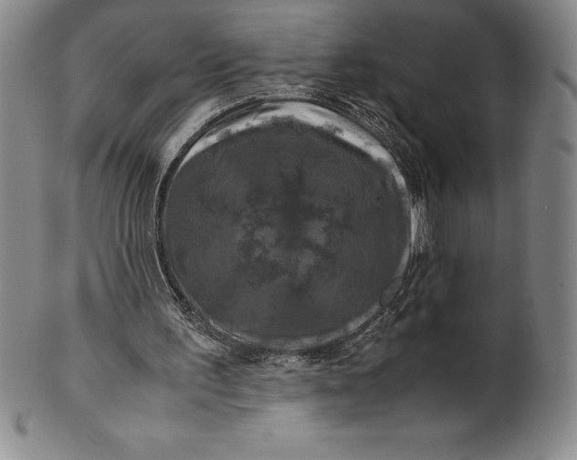 X0000100490195200806271244