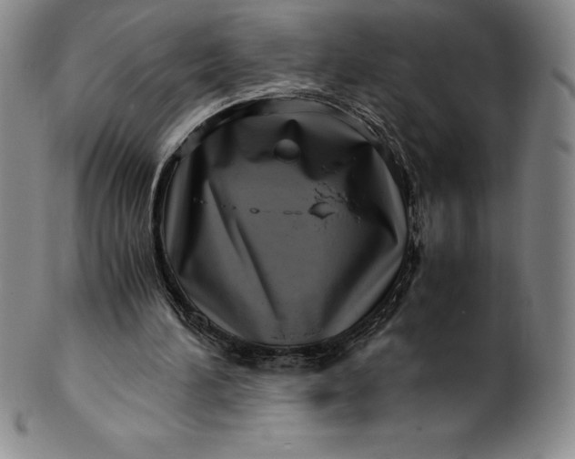 X0000100490196200806271244