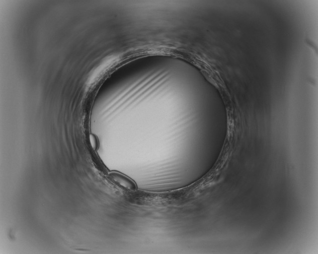 X0000100490197200806271244