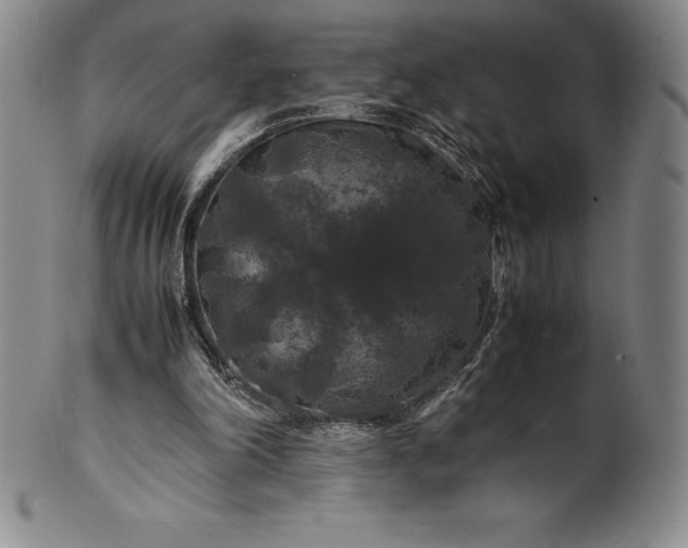 X0000100490198200806271244