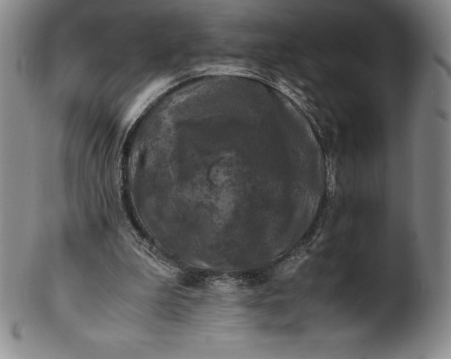 X0000100490199200806271244