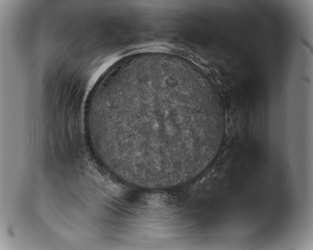 X0000100490200200806271244