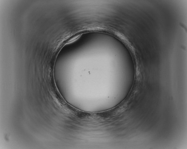 X0000100490201200806271244