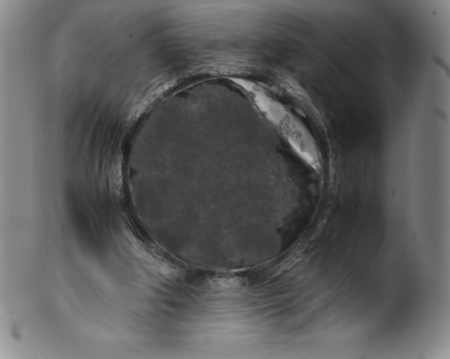 X0000100490202200806271244