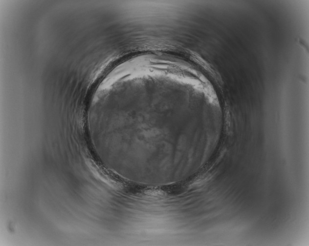 X0000100490203200806271244