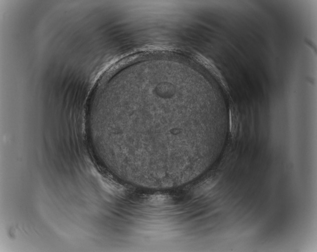 X0000100490204200806271244