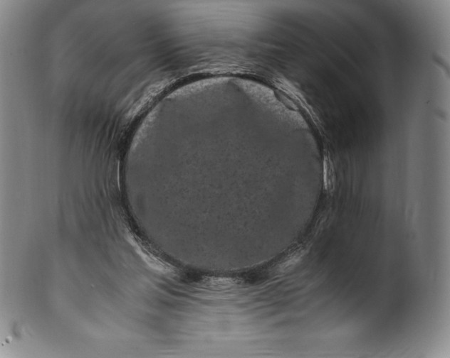 X0000100490205200806271244