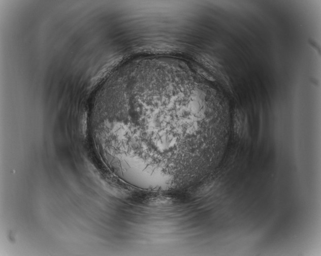 X0000100490206200806271244