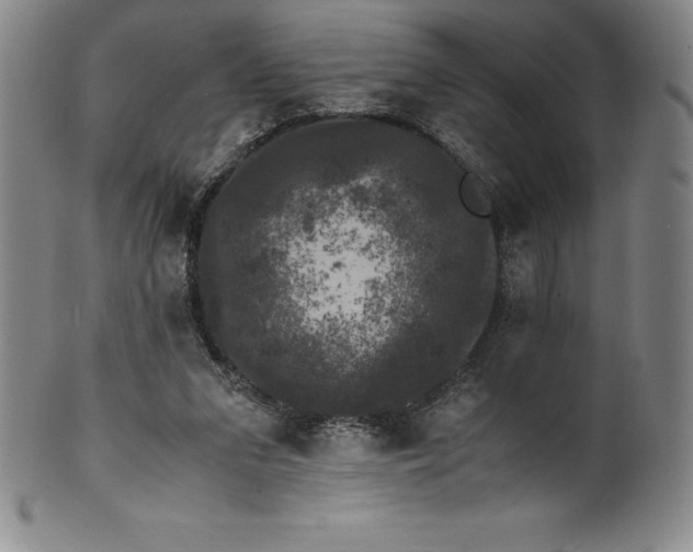 X0000100490207200806271244