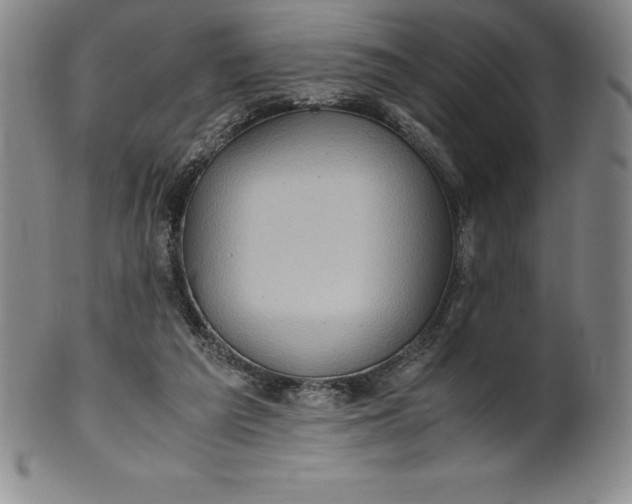 X0000100490209200806271244