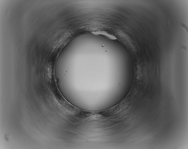 X0000100490210200806271244