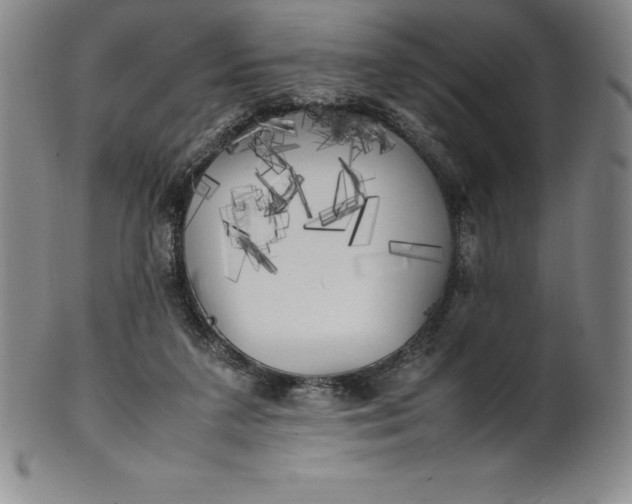 X0000100490211200806271244