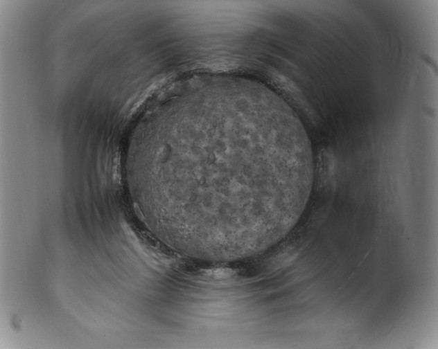 X0000100490212200806271244