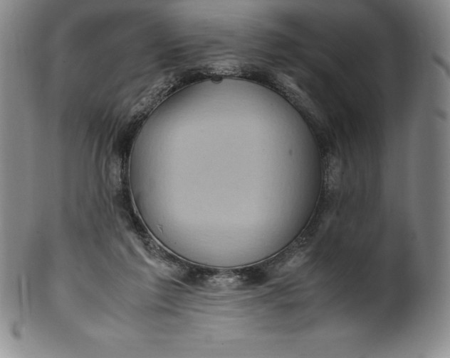 X0000100490213200806271244