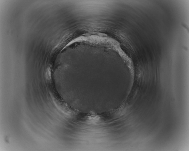 X0000100490214200806271244