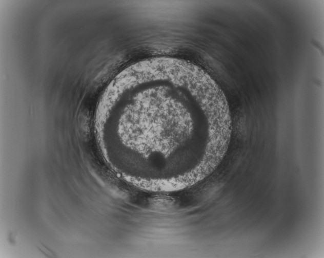 X0000100490215200806271244