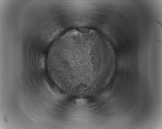 X0000100490216200806271244