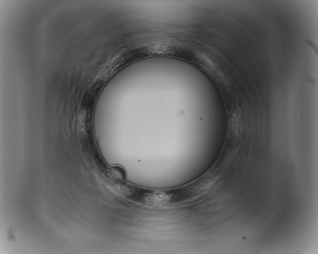 X0000100490217200806271244