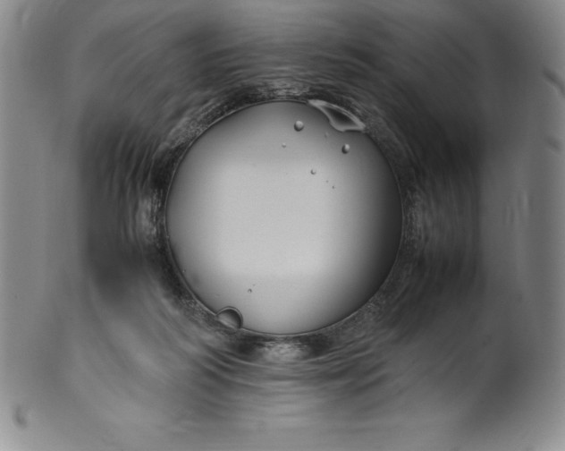 X0000100490218200806271244