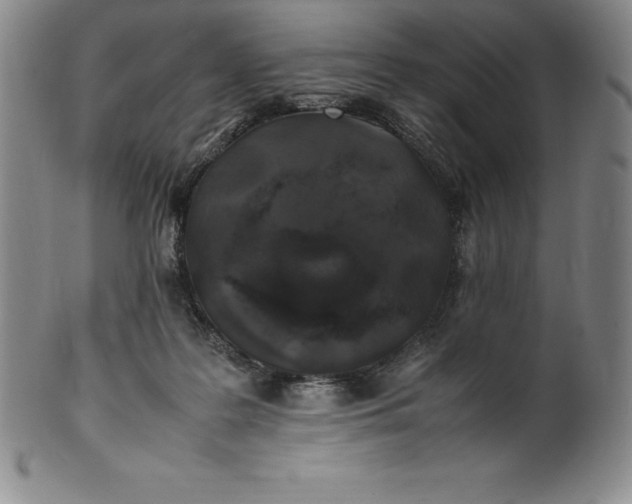 X0000100490219200806271244