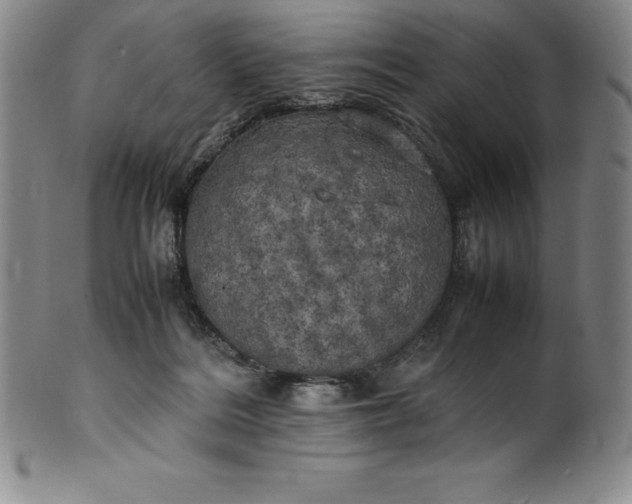 X0000100490220200806271244