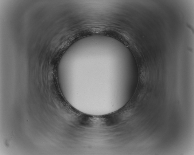 X0000100490221200806271244