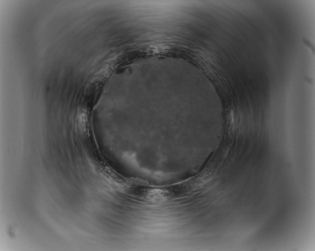 X0000100490222200806271244