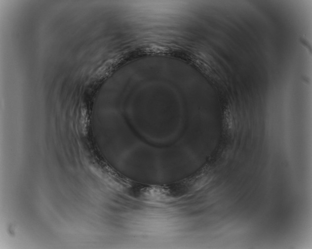 X0000100490223200806271244