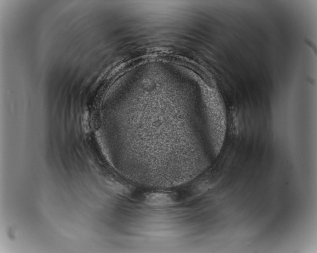 X0000100490224200806271244