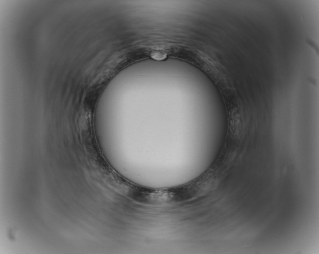 X0000100490225200806271244