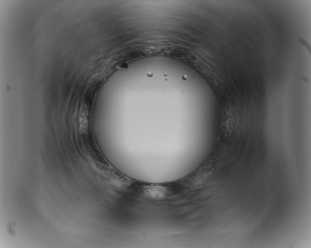 X0000100490226200806271244