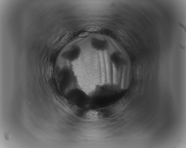 X0000100490227200806271244