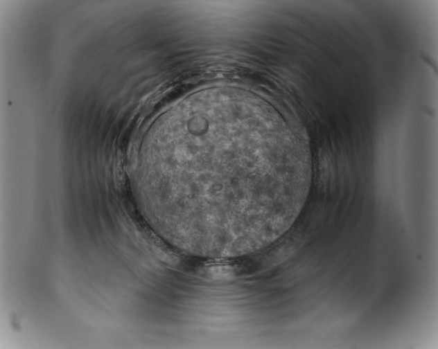 X0000100490228200806271244