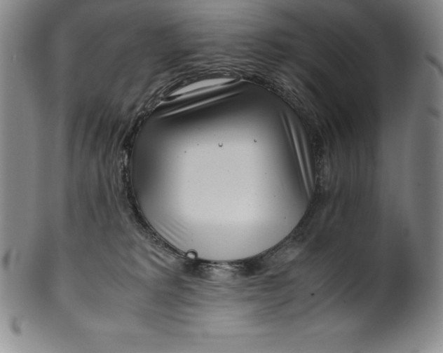 X0000100490229200806271244