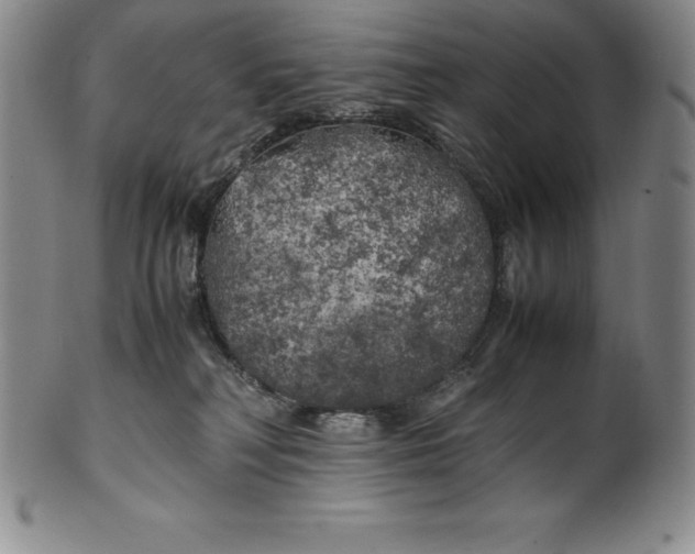 X0000100490230200806271244