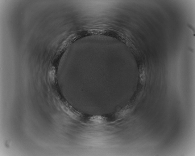 X0000100490231200806271244