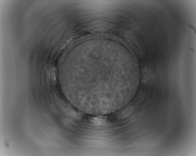 X0000100490232200806271244