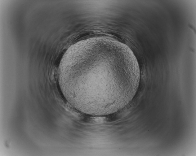 X0000100490233200806271244