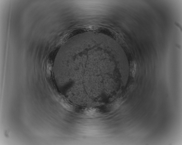 X0000100490235200806271244