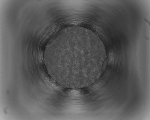 X0000100490236200806271244