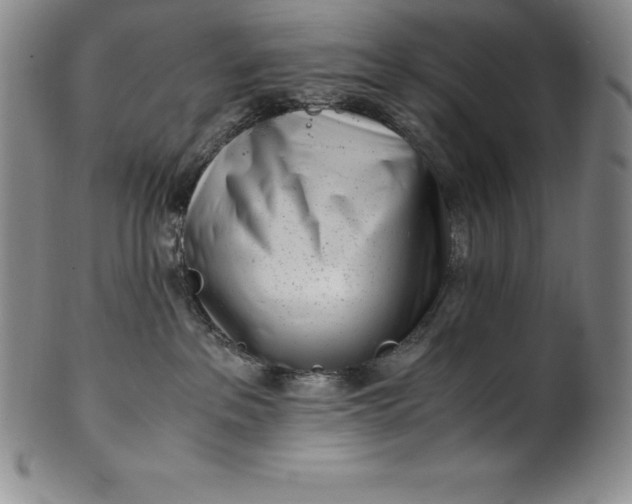 X0000100490237200806271244