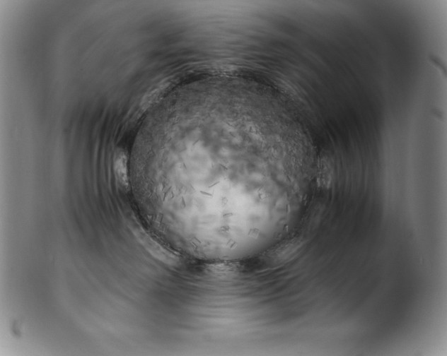 X0000100490238200806271244