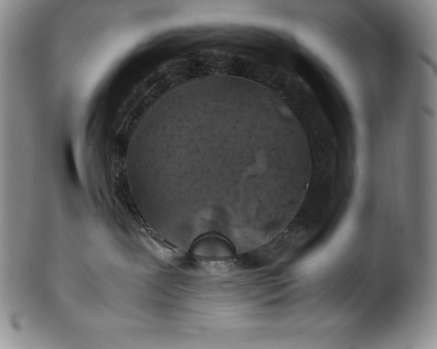 X0000100490239200806271244