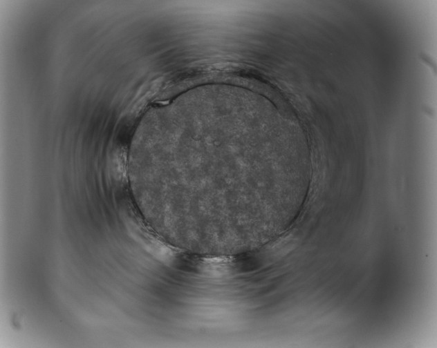 X0000100490240200806271244