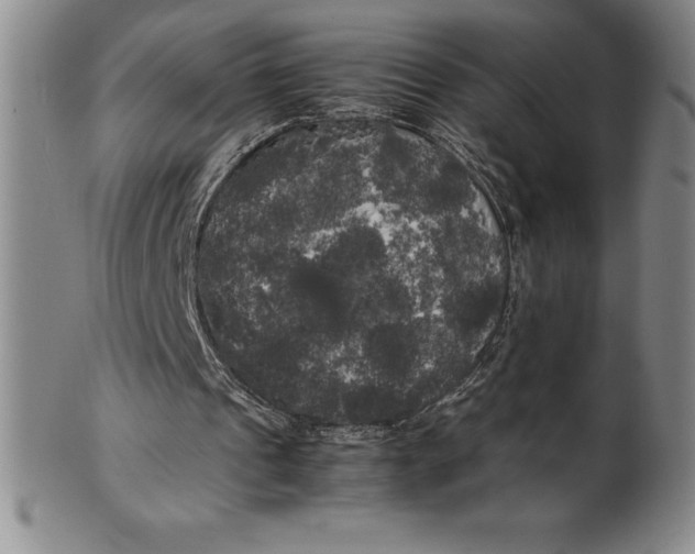 X0000100490241200806271243