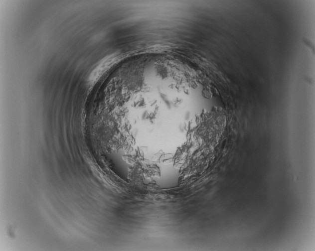 X0000100490242200806271243