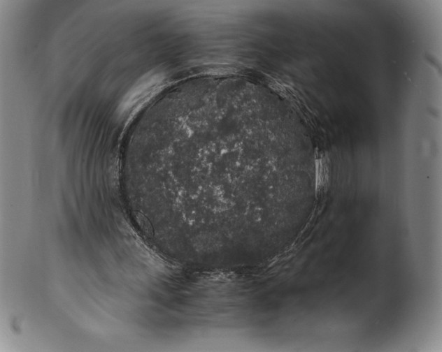 X0000100490243200806271243