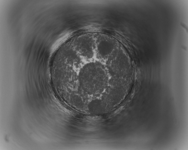 X0000100490245200806271243