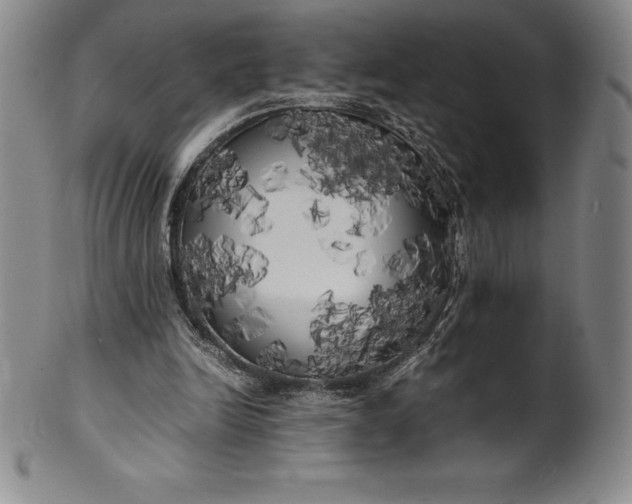 X0000100490246200806271243